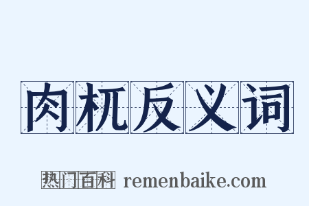 肉杌反义词是什么意思的图片